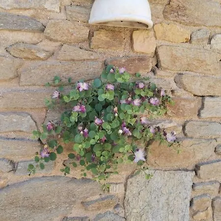 Wonderfull Sea View Ii * Parasporos