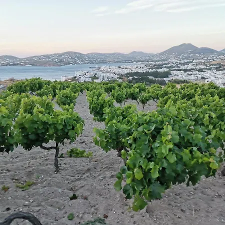 Wonderfull Sea View Ii Parasporos