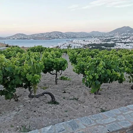 Wonderfull Sea View Ii Appartement