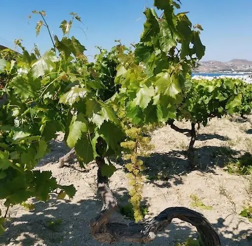 Wonderfull Sea View Ii *