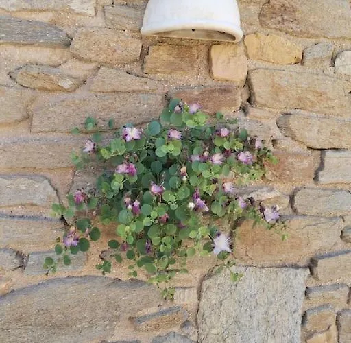 Wonderfull Sea View Ii * Parasporos