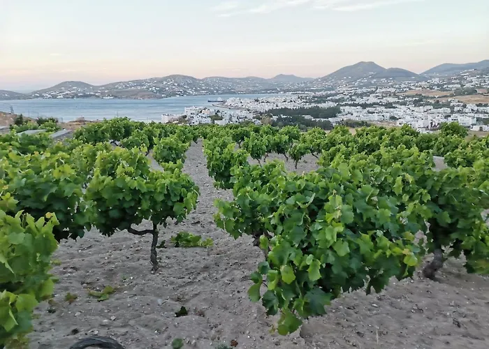 Wonderfull Sea View Ii Parasporos